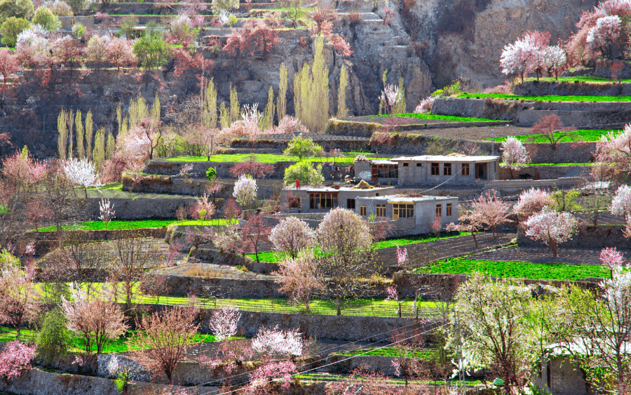 Reign có lừa đảo không? Khung kiểm tra độ tin cậy 8 tiêu chí - Phân tích chuyên sâu về nền tảng mới nổi