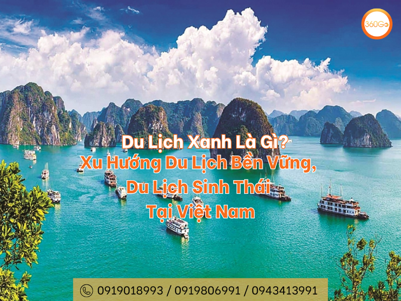 Du Lịch Xanh Là Gì? Xu Hướng Du Lịch Bền Vững, Du Lịch Sinh Thái Tại Việt Nam